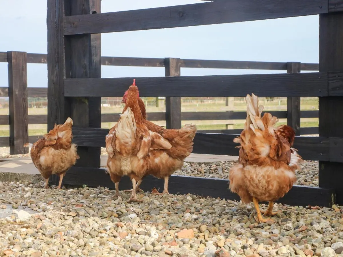 Tatil Evi Cowshed Cottage Malton Birleşik Krallık